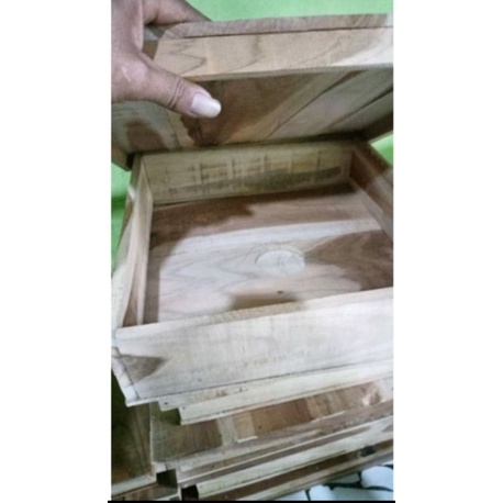 TOPING TRIGONA ITAMA/ LAINNYA