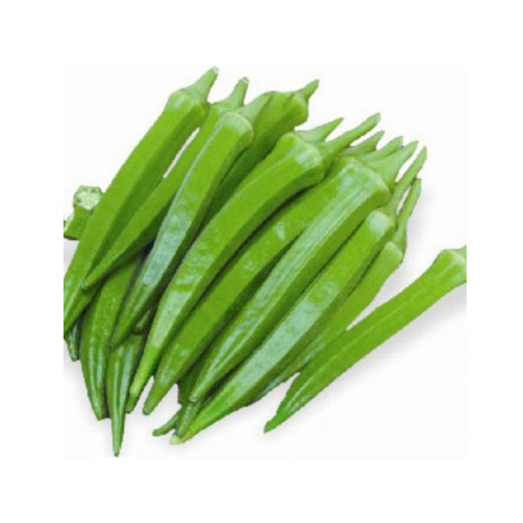 Bibit Benih Biji Sayur Okra Hijau - Biji Tanaman Pohon Sayur Okra Hijau - Bibit Sayur Okra Hijau-COD