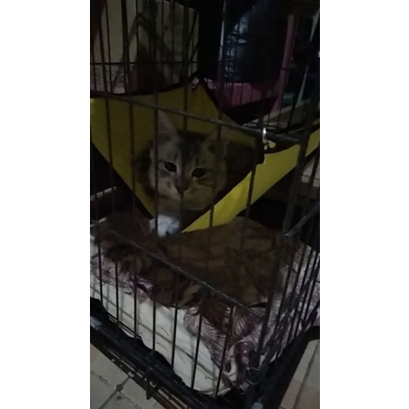 Ayunan kucing besar dan murah - Cat hammock - Hammock Kimo - Ayunan kucing dan