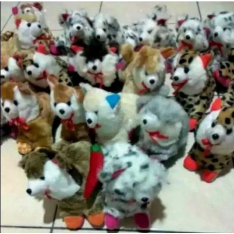 Boneka Kucing Angora Lucu Bulu Jabrig Korea Murah