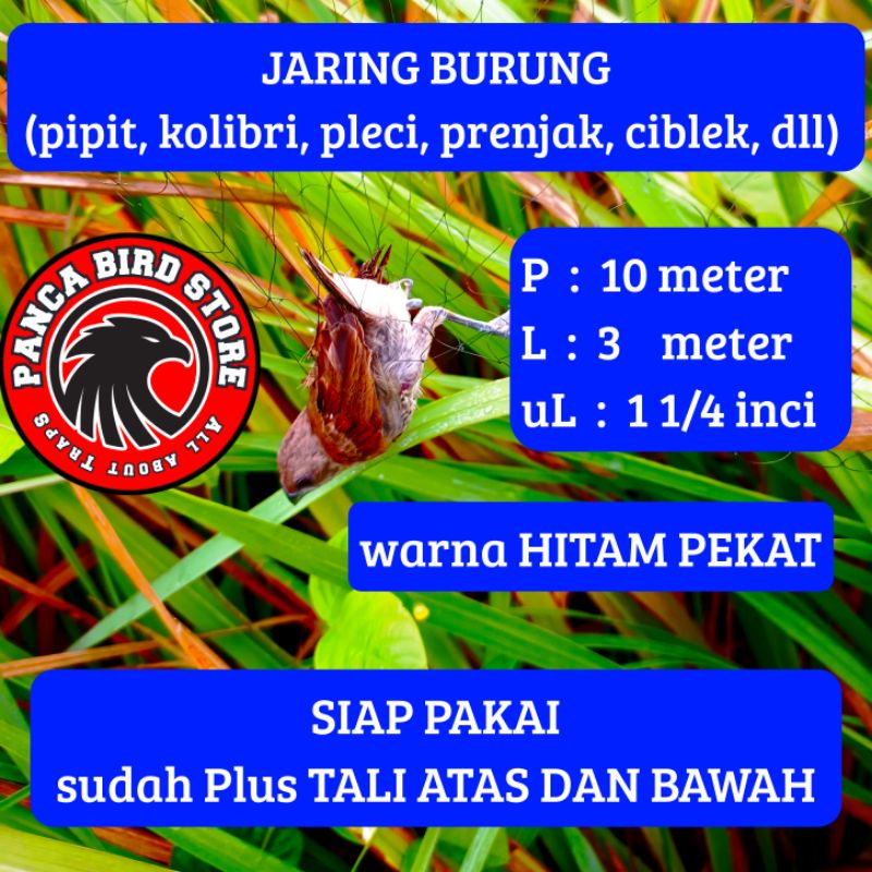 Jaring burung emprit, jaring pipit siap pakai, perangkap burung panjang 10 meter