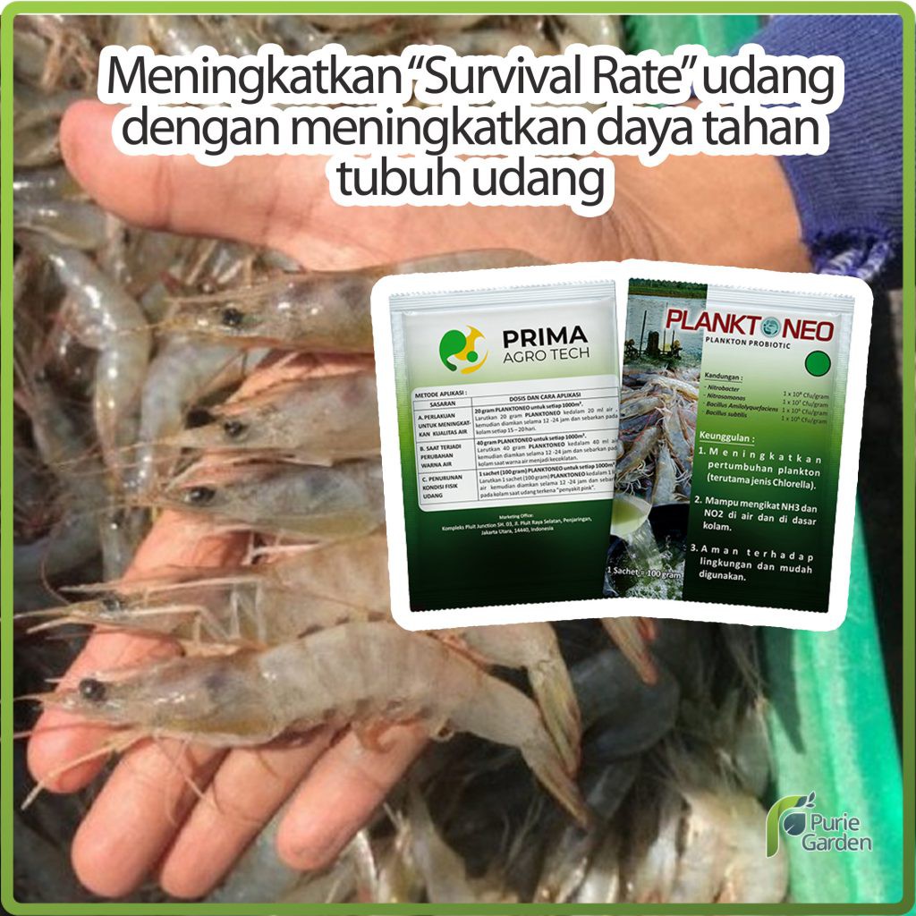 CUCI GUDANG Pupuk Organik Hayati Udang Meningkatkan Kehidupan Udang Planktoneo 100 Gram