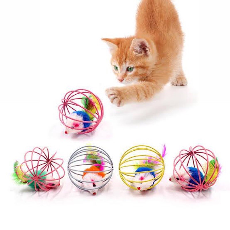 Bola Jeruji Mainan Kucing Mainan Anak Kucing Mainan Kitten Bola Kucing