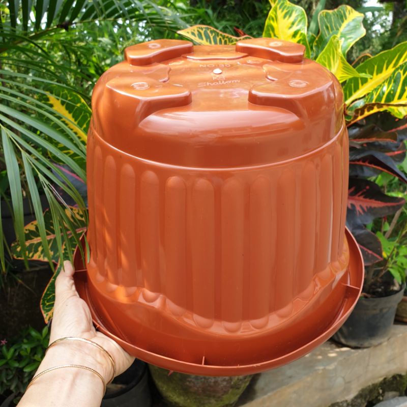 SHALLOM MIO 35 Pot bunga plastik motif belimbing ukuran 35