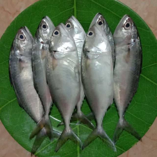 

Ikan kembung sayur bandung