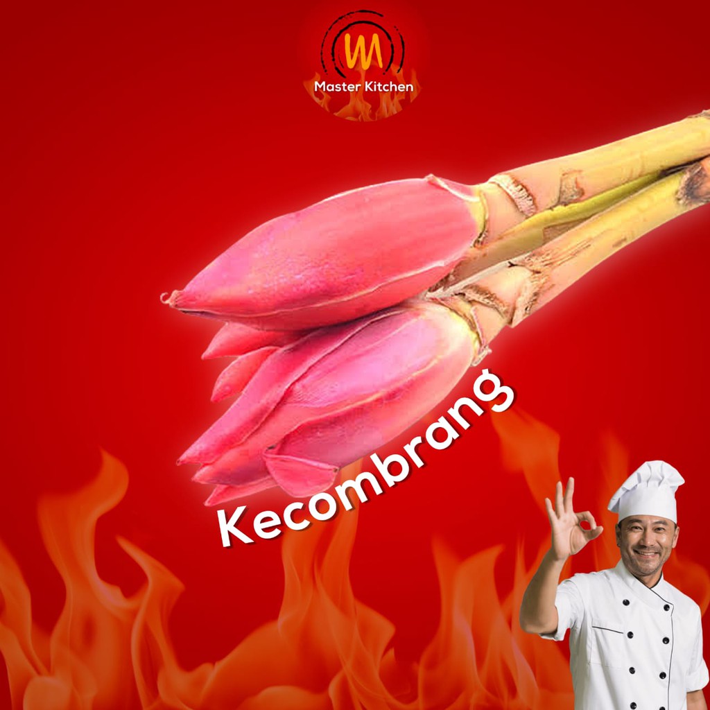 

Kincung / Honje / Kecombrang Segar 250gr - Master Kitchen