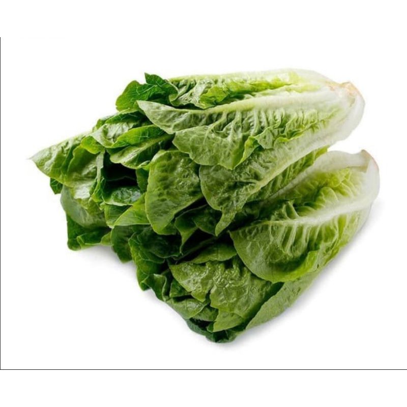 

Romaine lettuce 250 gram