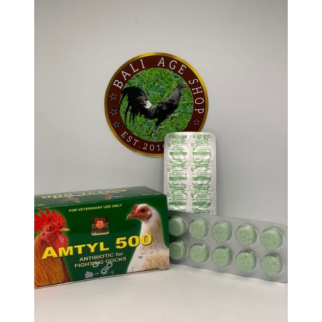 AMTYL 500 Antibiotik untuk ayam