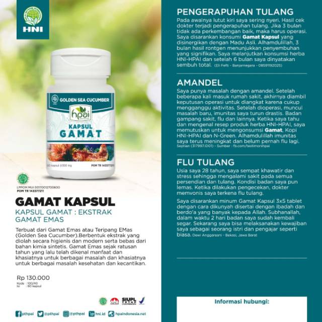 Gamat hpai untuk nyeri sendi