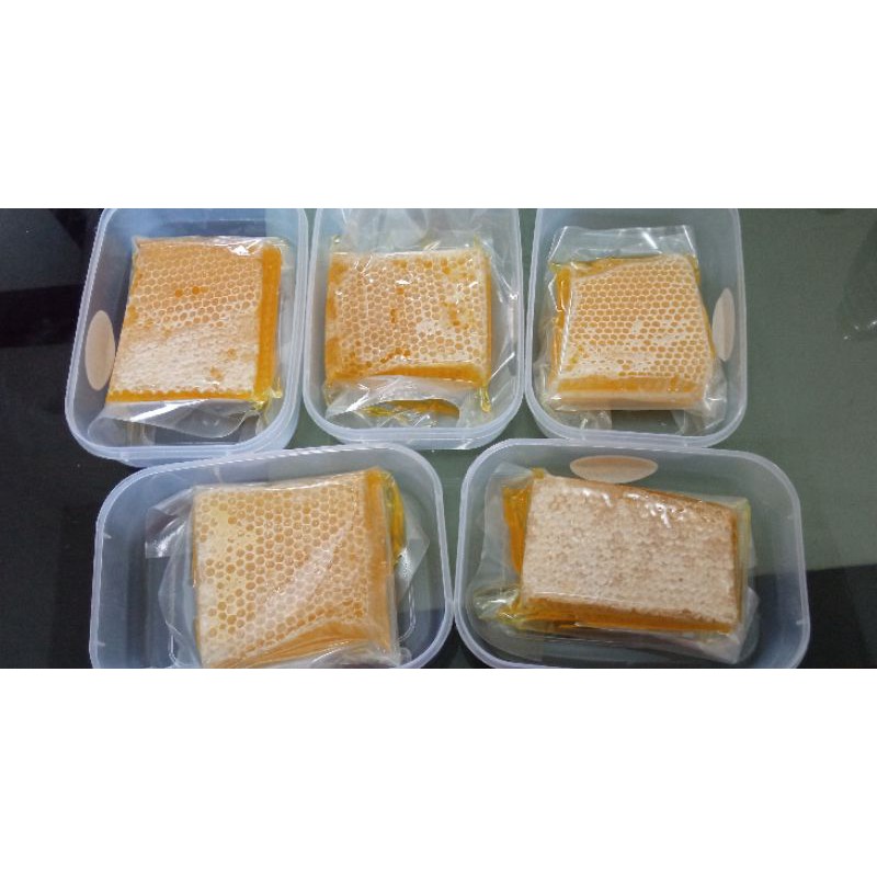 

Sarang Madu Melifera
