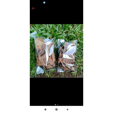 

daun Ketapang kering