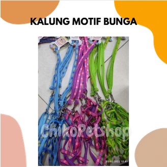 kalung harness berbagai motif unik untuk hewan peliharaan