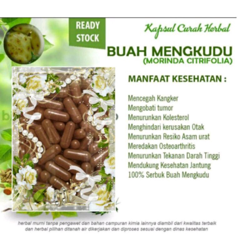 

KAPSUL BUAH MENGKUDU