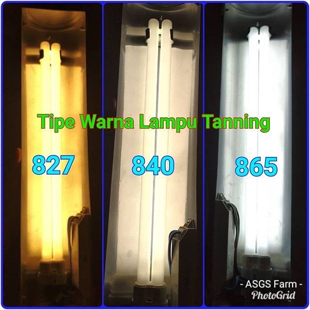 LAMPU TANNING 60 CM untuk arwana dan louhan | Shopee Indonesia