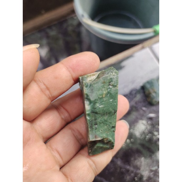 bacan hijau bisori botol Halmahera 03