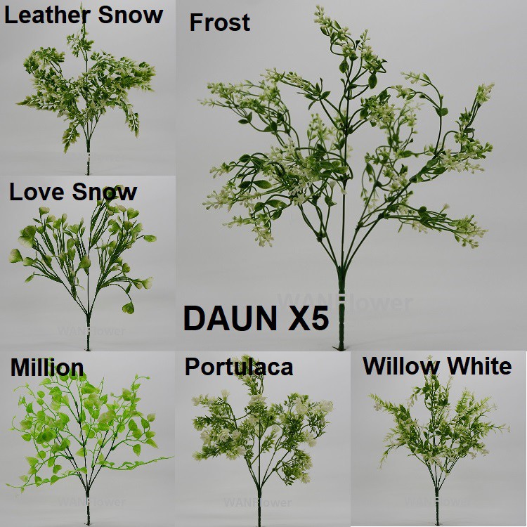 WANFLOWER Daun X5 * LOVE SNOW