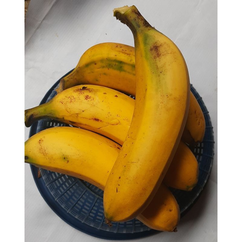 Jual Pisang Panjang dan besar / Tanpa Karbet | Shopee Indonesia