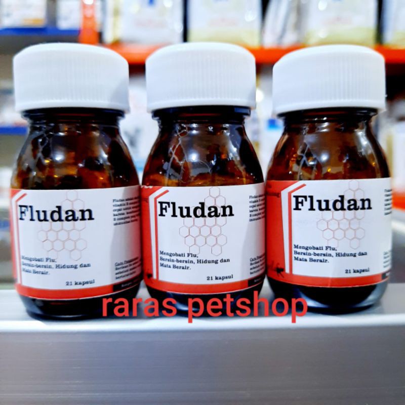 Fludan capsul meredakan dn mengobati flu pilek pada hewan kucing