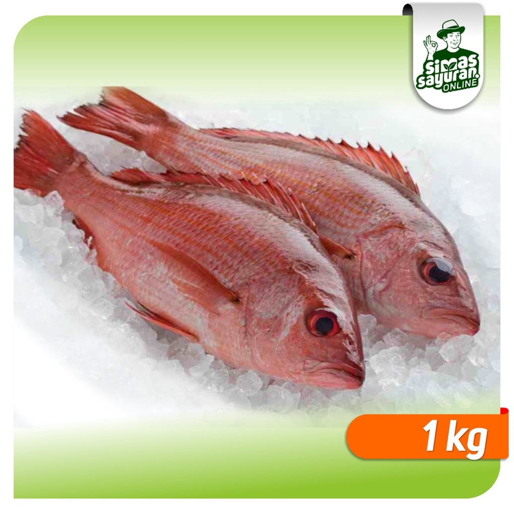 

Ikan Kakap Merah 1 kg