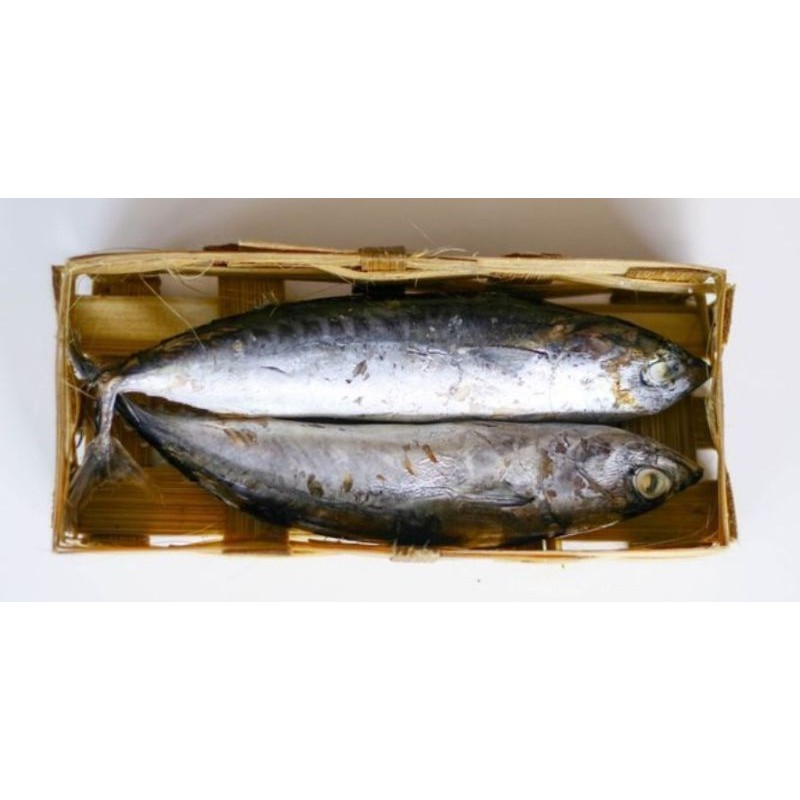 

IKAN CUE LAYANG KERANJANG ISI 2 EKOR