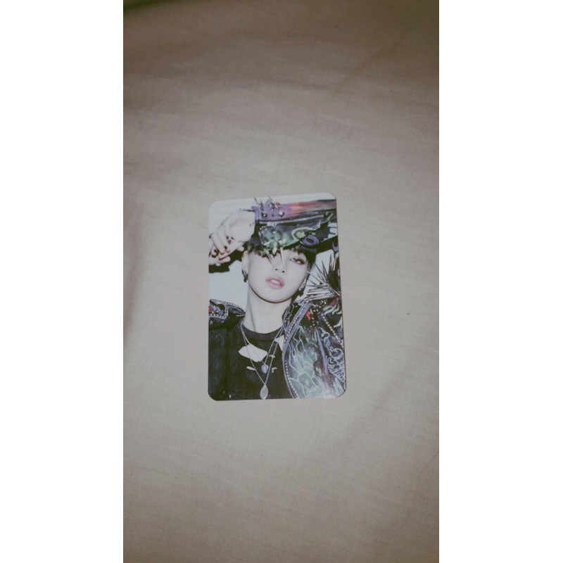 PC LISA BENE APPMUS THE ALBUM