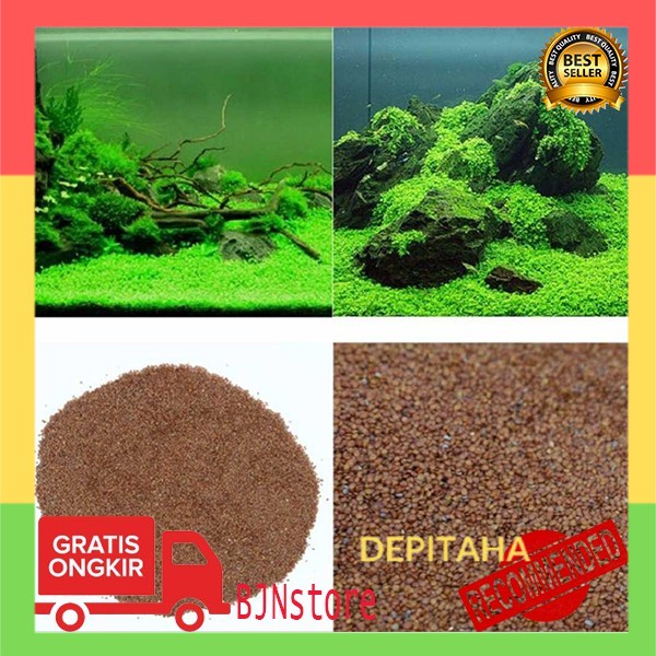 Bibit Rumput Air Dekorasi Aquarium Landscape Ornament / bibit rumput aquascape hiasan / bibit rumput