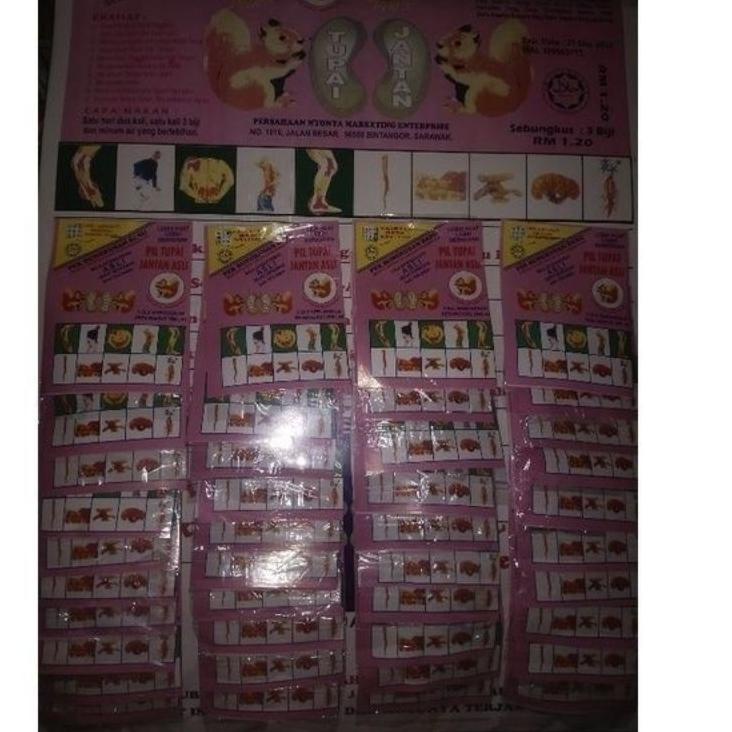 

LZL pil Tupai jantan asli BK57 Harga