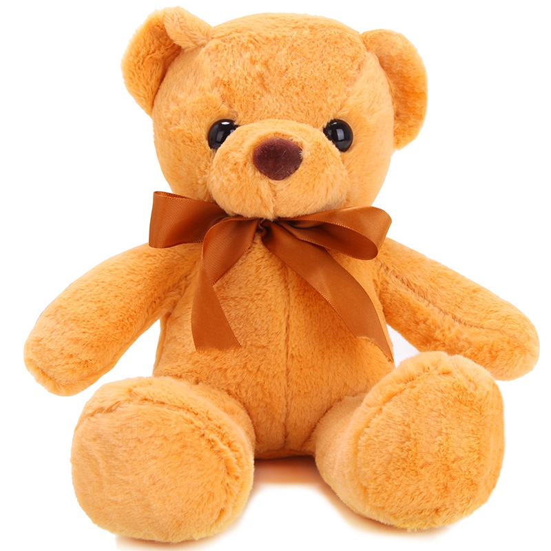 teddy girl bear