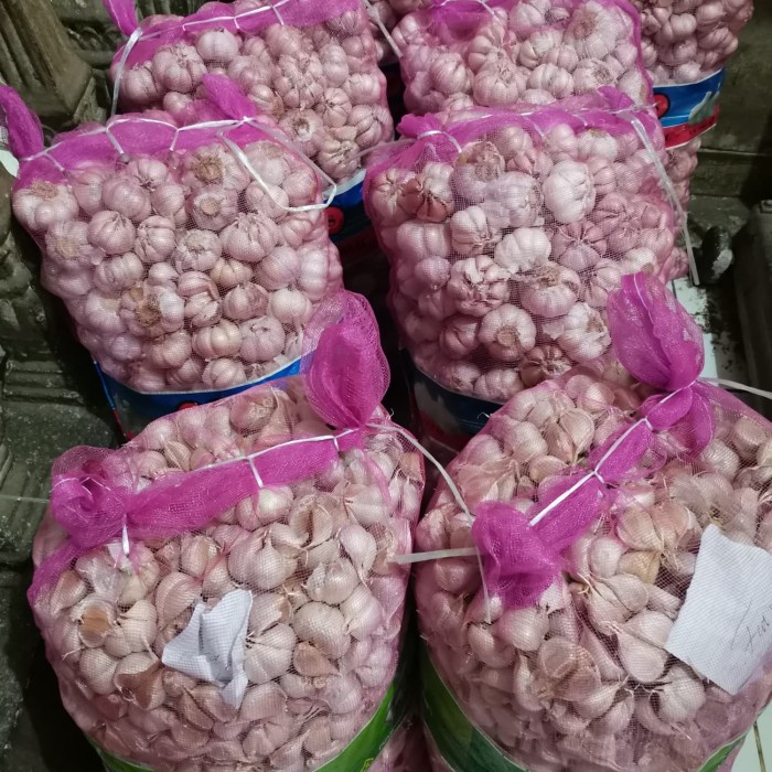 

Fe01Gg Bawang Putih Kating Panen Baru Bersih 1Kg/1000Gr Super F30E1F111