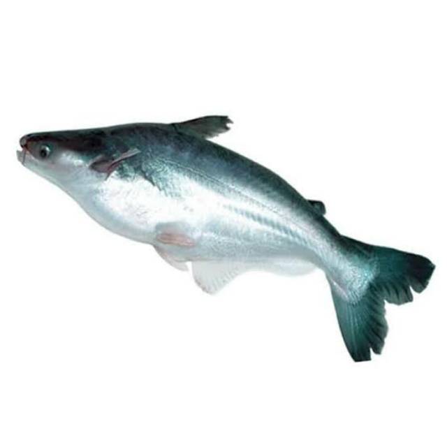 

Ikan patin potong 500gr