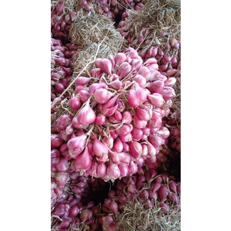

bawang Brebes super 1kg