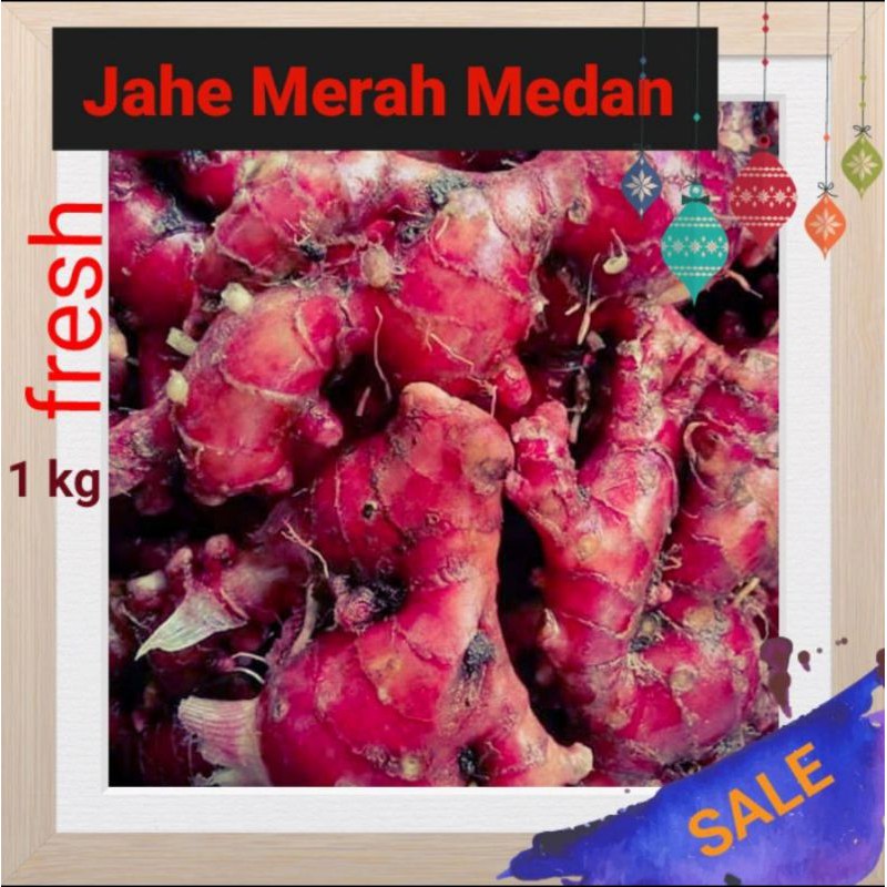 

JAHE MERAH SUPER SEGAR ASLI MEDAN 1 KG