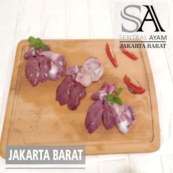 

Ati Ampela Ayam Ukuran Size Kecil FRESH FROZEN