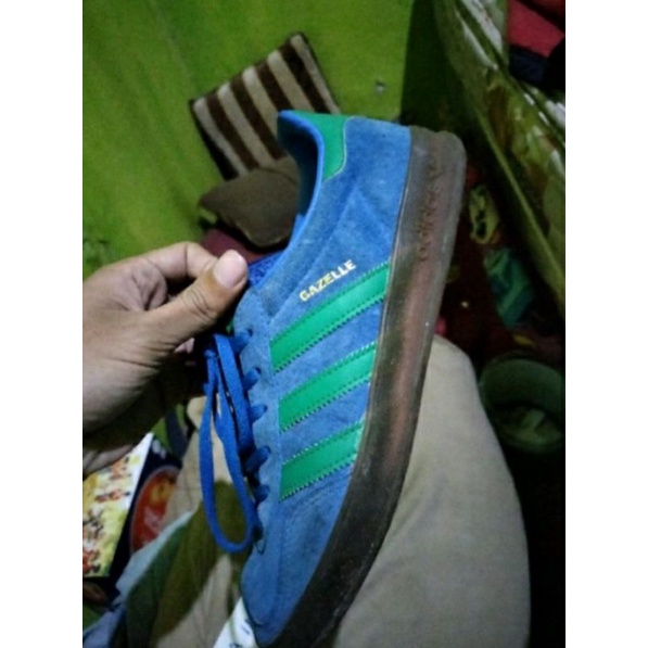 gazelle indor cw bern