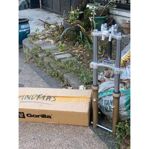 skok Ninja gorila Shock ninja gorila