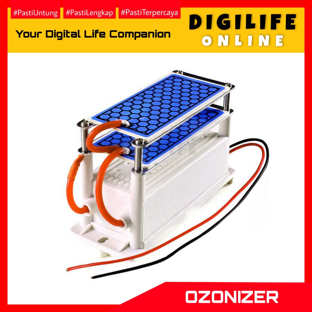 Ozonizer DIY Generator Ozone Ozon Portable Ceramic Plate Air Purifier 10g/h