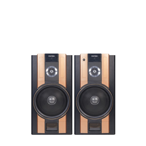 Polytron PAS62 - Active Speaker