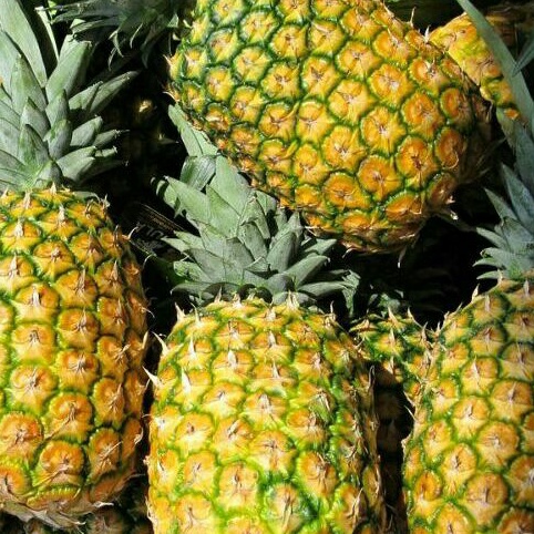 

Buah Nanas