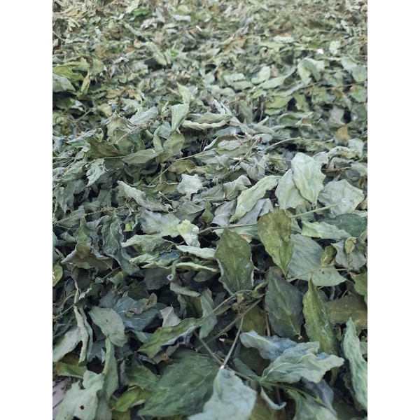 

daun katuk kering 250gr asi booster