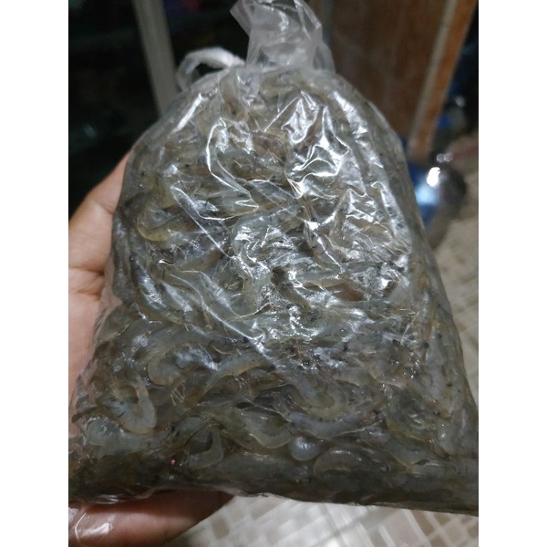 

udang air tawar mati segar