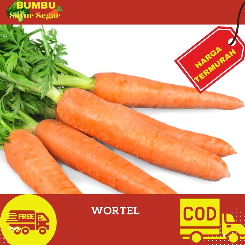 

WORTEL 500gr