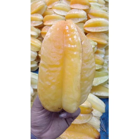 

BELIMBING MADU FRESH & FROZEN