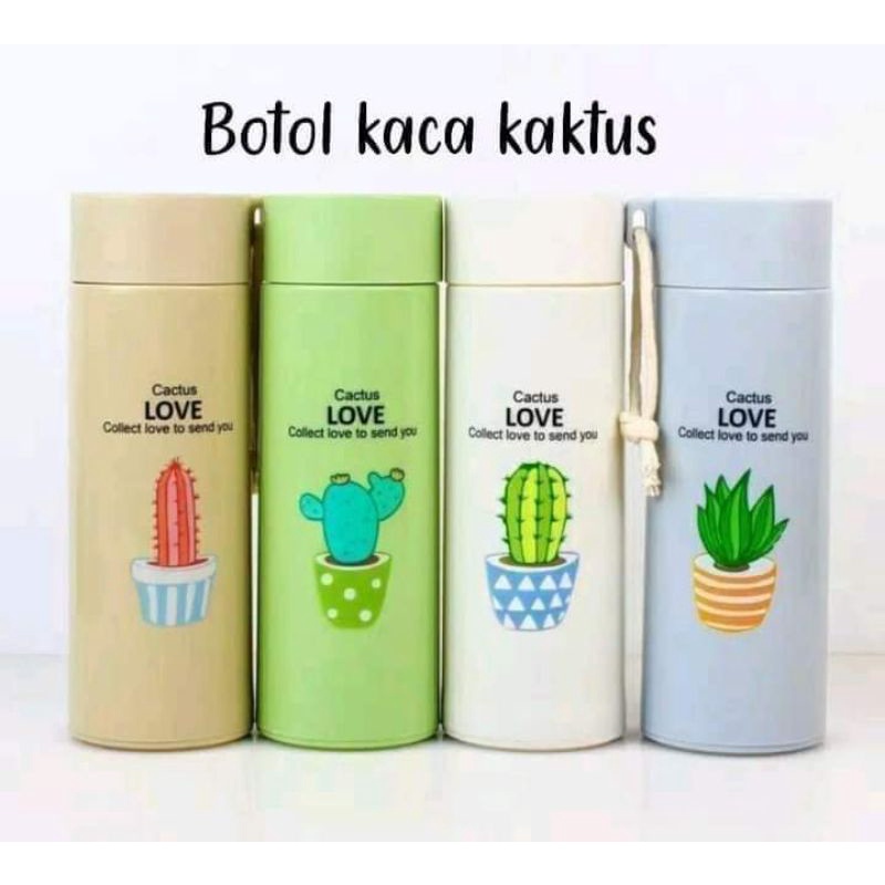 Botol Kaca Kaktus