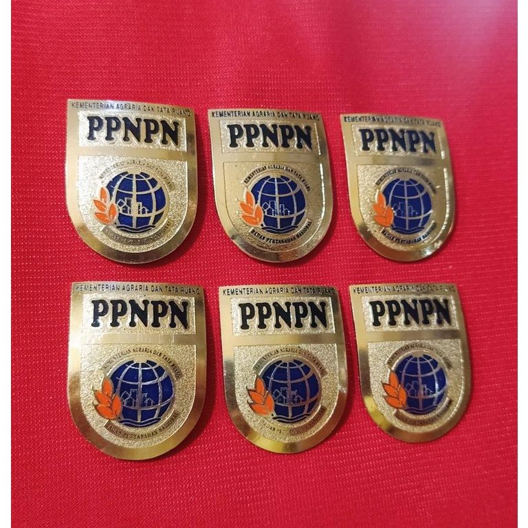 pin ppnpn