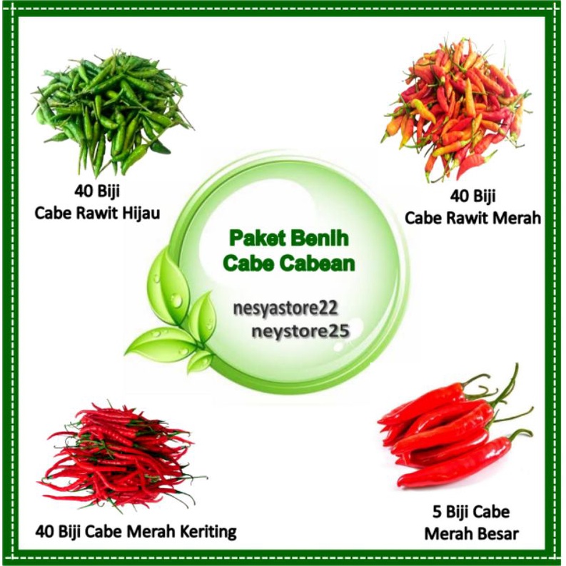 Paket Benih Bibit Cabai Cabe-Cabean Cabe Rawit Cabe Keriting Cabe Besar Cabe Rawit Hijau - Benih Sayur Cabai