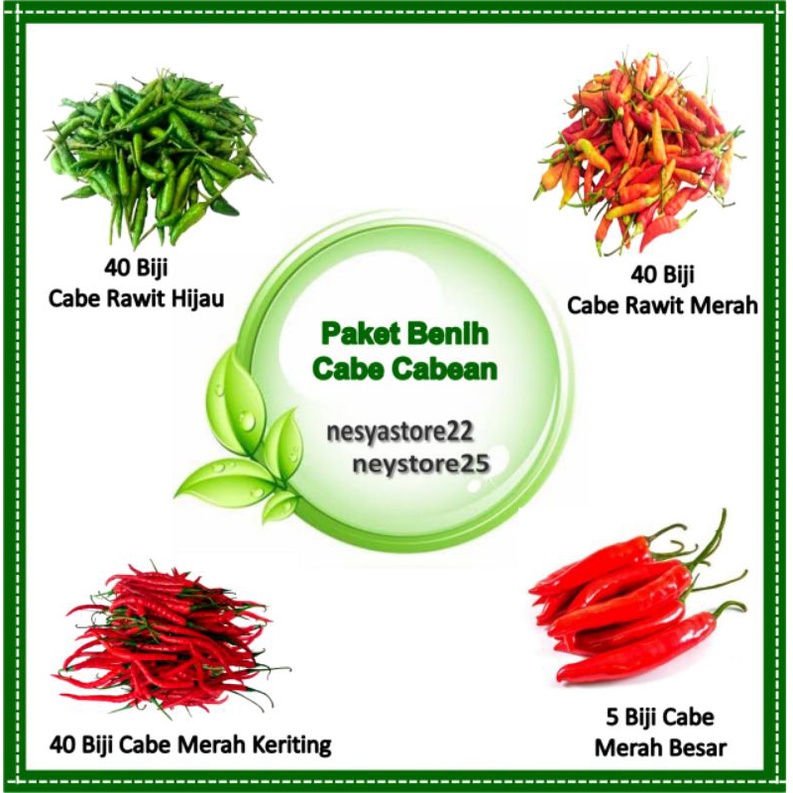 Paket Benih Bibit Cabai Cabe-Cabean Cabe Rawit Cabe Keriting Cabe Besar Cabe Rawit Hijau - Benih Sayur Cabai