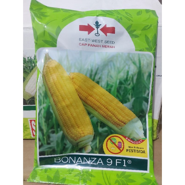 benih bonanza 9 f1 bibit jagung manis