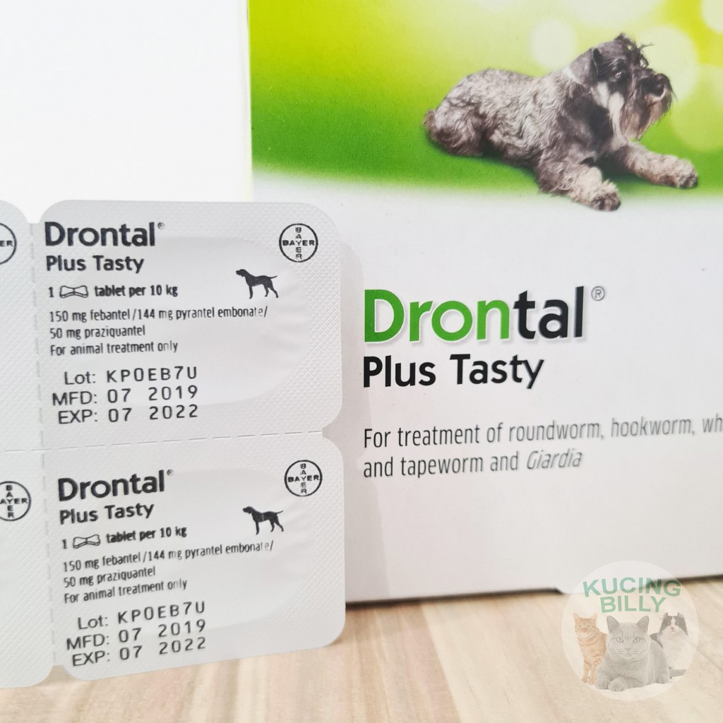 Drontal Dog Plus Tasty Obat Cacing Anjing Tablet