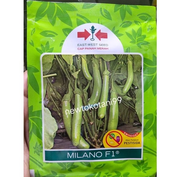 Benih terong hijau MILANO F1 1100 butir terung hijau panjang dari panah merah