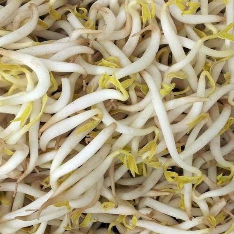 

Toge Tauge Panjang Sayur Segar 250 gr